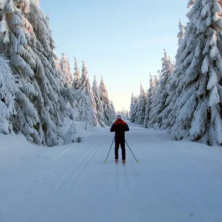 Ferienhaeuser Am Waldschloesschen *