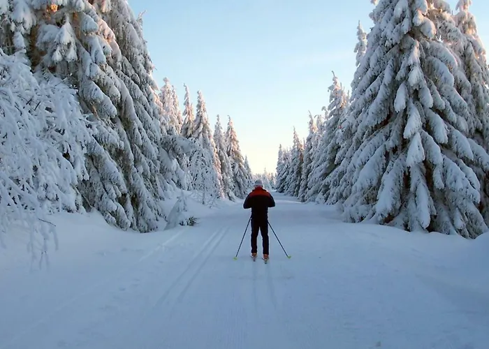 Ferienhaeuser Am Waldschloesschen *