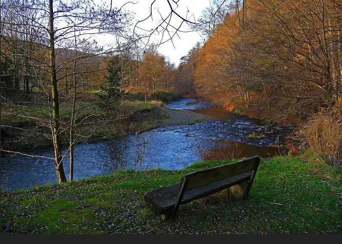 Ferienhaeuser Am Waldschloesschen Дом отдыха *
